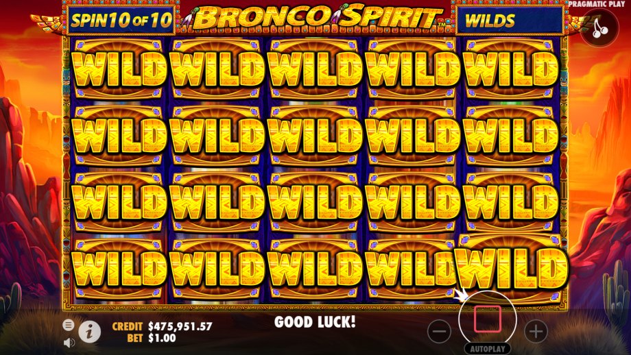 Nothing quite as exciting as getting WILDS across the board. Play now only at WILD 24